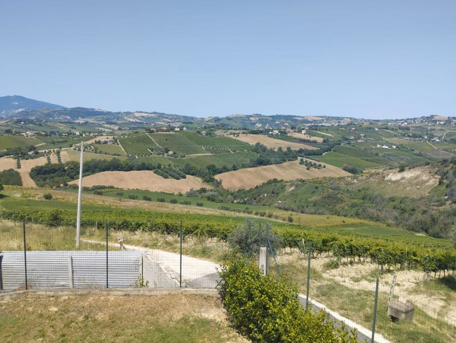 Paesaggio naturale delle colline del Piceno intorno a Palme&Vigne